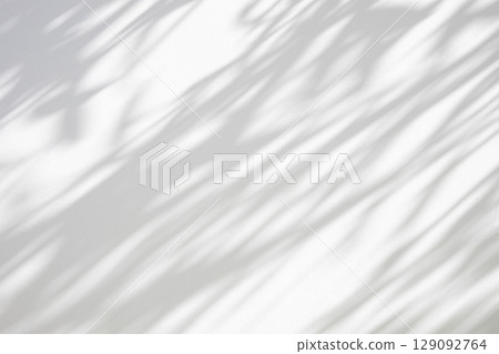 Abstract natural tree leaves shadow on white wall background 129092764