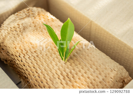 Green leaf on eco friendly brown paper honeycomb wrap for product packaging parcel carton box Green leaf on eco friendly brown paper honeycomb wrap for product packaging parcel carton box 129092788