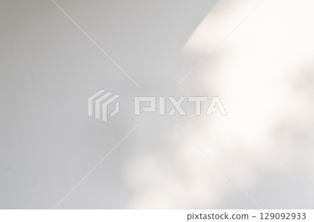 Abstract natural tree leaves shadow on white wall background 129092933