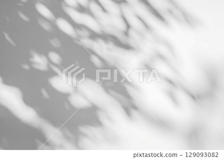 Abstract natural tree leaves shadow on white wall background 129093082