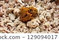 Preparing Thai, Food Minced Chicken and Curry Paste Preparing Thai, Food Minced Chicken and Curry Paste 129094017