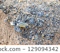 Tailings and waste sand  in  mined open pit coal quarry. Heavy erosion Tailings and waste sand  in  mined open pit coal quarry. Heavy erosion 129094342
