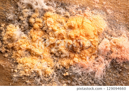 Orange mold, on a wet coffee filter, macro photo. Often referred to as slime mold, or dog vomit mold, of orange to reddish color and slimy texture. Grows on organic material and in moist environments. 129094660