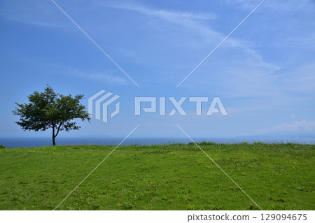 Oiso, Shonandai, and Komayama Park's lawn and view of Sagami Bay 129094675