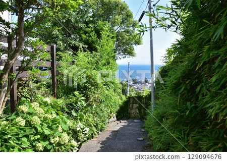 大磯高田公園附近的斜坡和海濱風景 129094676