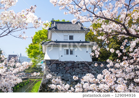 大分船內城跡與盛開的櫻花 129094916