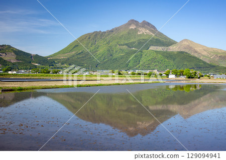 Fresh greenery of Mt. Yufu and paddy fields filled with water 129094941