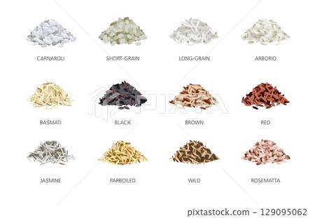 Rice types. Handfuls of grains, different varieties, asian grain culture, processed seeds, round, long, jasmine, red and brown, nutrition elements, healthy natural products, tidy vector set Rice types. Handfuls of grains, different varieties, asian grain culture, processed seeds, round, long, jasmine, red and brown, nutrition elements, healthy natural products, tidy vector set 129095062