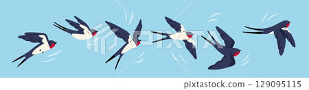 Swallow flying animation. Frame by frame movement of wings, little bird in sky moving, flapping sequences, air flow, speed lines, cartoon isolated mascot illustration, garish vector set Swallow flying animation. Frame by frame movement of wings, little bird in sky moving, flapping sequences, air flow, speed lines, cartoon isolated mascot illustration, garish vector set 129095115