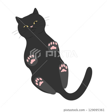 Cute cat standing on glass surface and looking down. Standing cat bottom view. Vector illustration 129095361