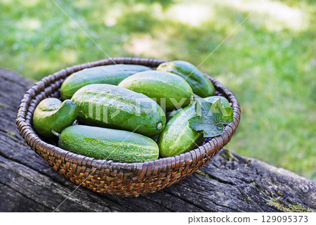 Cucumber 129095373