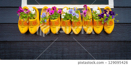 Old wooden clogs with blooming flowers hanging on a black wooden wall in The Netherlands 129095426