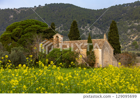 parish church Sant Miquel, chapel from the 13th century, near Campanet in front of the Tramuntana mountains, Mallorca, Balearic Islands, Spain, Europe parish church Sant Miquel, chapel from the 13th century, near Campanet in front of the Tramuntana mountains, Mallorca, Balearic Islands, Spain, Europe 129095699