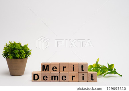 The letters merit and demerit 129095810