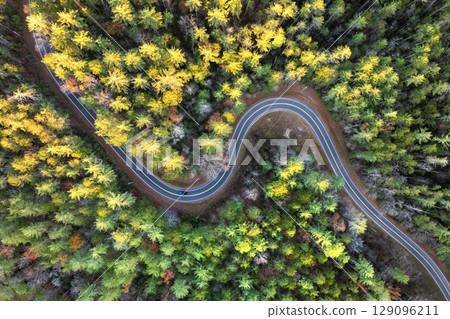 Car driving along mountain road surrounded by colorful autumn trees in Tennessee. Scenic road trip through the Appalachians in fall season 129096211