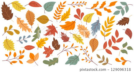 Autumn leaf collection in muted soft tones Autumn leaf collection in muted soft tones 129096318