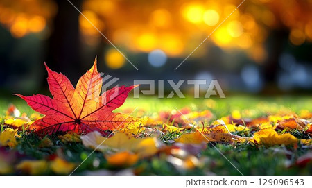 Autumn leaf on grass warm colors shallow depth of field 129096543