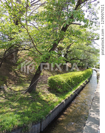 Banno Castle Ruins and Moat Banno Castle Ruins and Moat 129097021