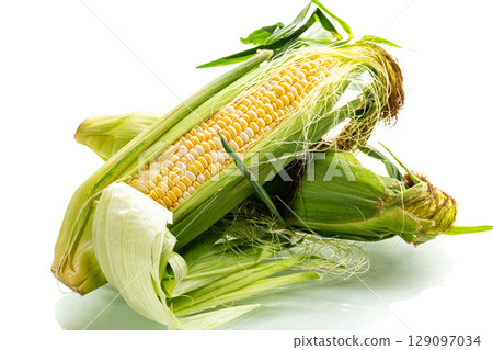 juicy ripe corn cob in husk on white background juicy ripe corn cob in husk on white background 129097034