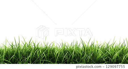 White Background with Grass Footer, Grass Footer on White Background - Ai Generated 129097755