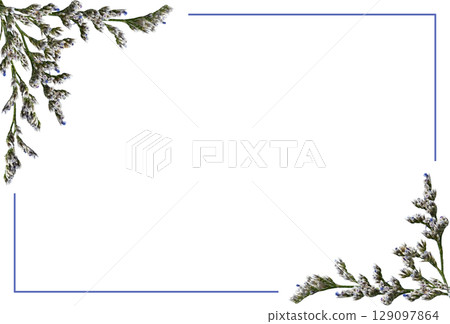 Corner arrangements with small twigs of limonium flowers and a blue frame isolated on white Corner arrangements with small twigs of limonium flowers and a blue frame isolated on white 129097864