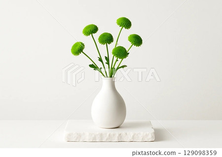 Green Chrysanthemums Arranged in White Vase on Stone Pedestal 129098359