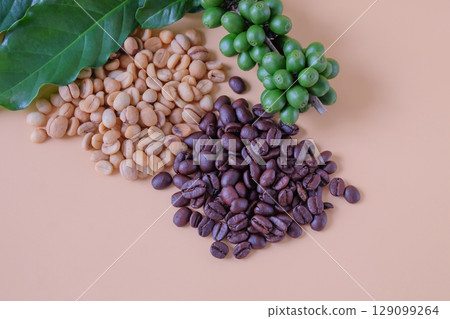 Coffee beans showing various stages of roasting from raw through to  dark roast. Coffee beans showing various stages of roasting from raw through to  dark roast. 129099264