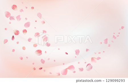 Delicate light pink sakura flowers flow. Wind swirls 129099293
