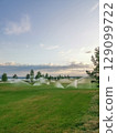 Irrigation sprinklers 129099722