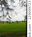 Golf course 129099723