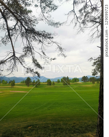 Golf course 129099723