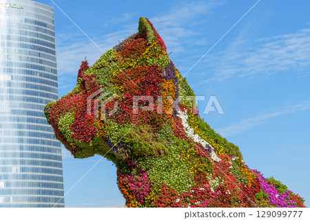 the city of bilbao in spain 129099777