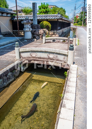 鯉魚遊動的「智石遊水」(三重縣四日市智石町) 鯉魚遊動的「智石遊水」(三重縣四日市智石町) 129099860