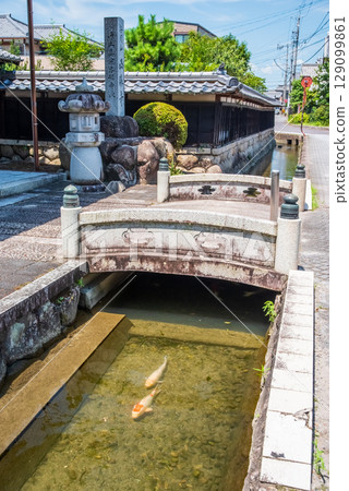 鯉魚遊動的「智石遊水」(三重縣四日市智石町) 鯉魚遊動的「智石遊水」(三重縣四日市智石町) 129099861