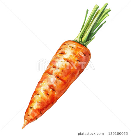 Organic carrots painted with watercolor, showing imperfect shapes and varied orange hues. White background isolated illustration for agricultural branding 129100053