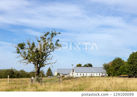 Country road among fields and forests. Rural landscape Country road among fields and forests. Rural landscape 129100099