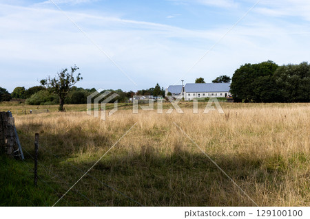 Country road among fields and forests. Rural landscape 129100100