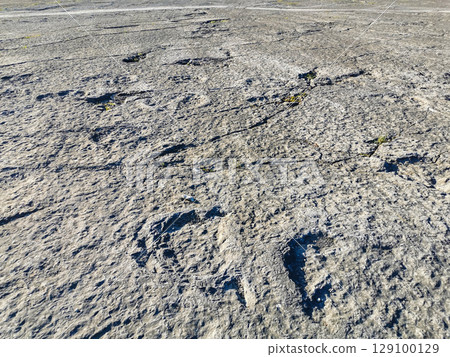 Natural monument of fossil dinosaur footprints in Portugal. Pedagogical circuit and visitors can see and touch the footprints Natural monument of fossil dinosaur footprints in Portugal. Pedagogical circuit and visitors can see and touch the footprints 129100129