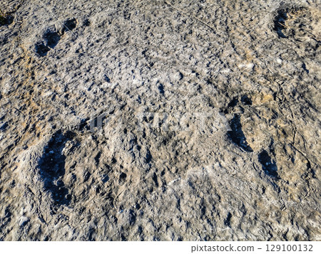 Natural monument of fossil dinosaur footprints in Portugal. Pedagogical circuit and visitors can see and touch the footprints 129100132