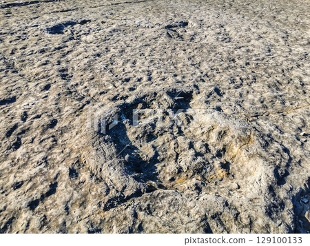 Natural monument of fossil dinosaur footprints in Portugal. Pedagogical circuit and visitors can see and touch the footprints 129100133