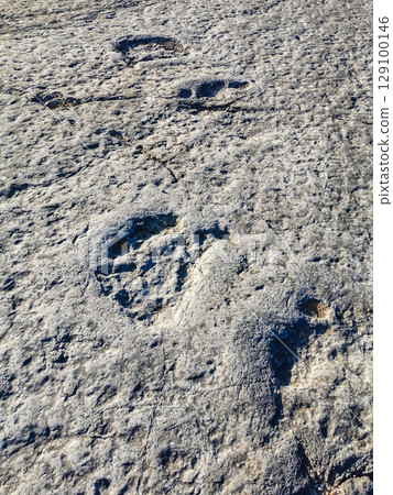 Natural monument of fossil dinosaur footprints in Portugal. Pedagogical circuit and visitors can see and touch the footprints 129100146