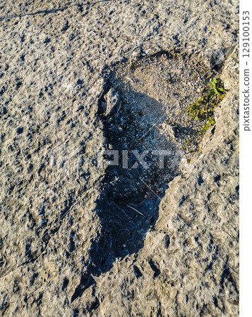 Natural monument of fossil dinosaur footprints in Portugal. Pedagogical circuit and visitors can see and touch the footprints 129100153