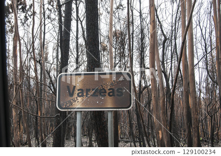 After summer forest fires in Portugal 129100234