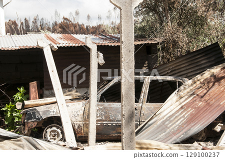 After summer forest fires in Portugal 129100237