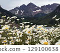Wild Daisies Bloom Beneath Colorado's Majestic Maroon Bells 129100638