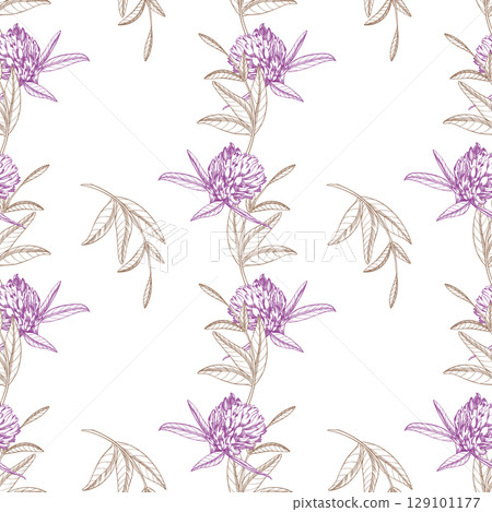 Seamless pattern of a clover. Meadow flower vector ink illustration. Handmade ink art work. Seamless pattern of a clover. Meadow flower vector ink illustration. Handmade ink art work. 129101177