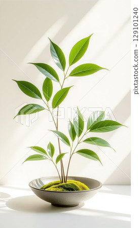 Decorative plant on white background 129101240