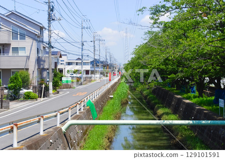 埼玉縣吉川市西鄉半陵灌溉渠 2025年7月 129101591