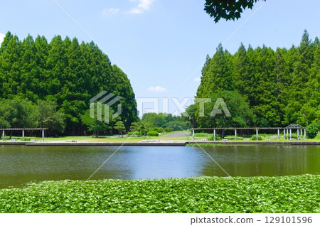 2025年7月埼玉縣三里市三里公園週邊風景 129101596