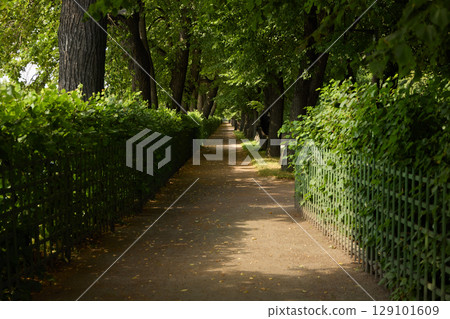 A Serene Pathway that is Enveloped by Exquisite and Lush Greenery Present Everywhere 129101609